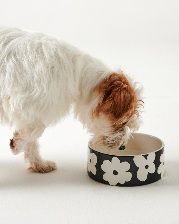 Flower Face Dog Bowl