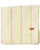 Pina Colada Stripe Linen Flat Sheet