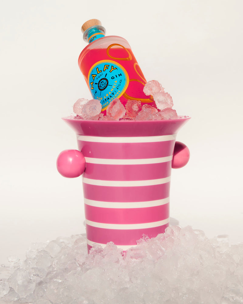 Gypsy Rose Stripe Resin Ice Bucket