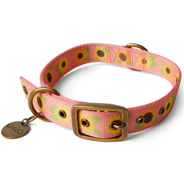Sunflower Sunshine Dog Collar – Kip&Co