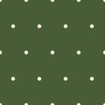Polkadot Cactus