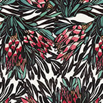Margaret Preston Protea