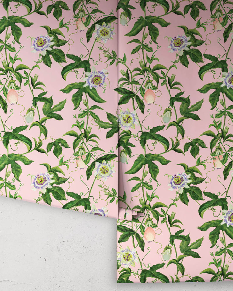 Milton & King x Kip&Co Passion Peach Wallpaper