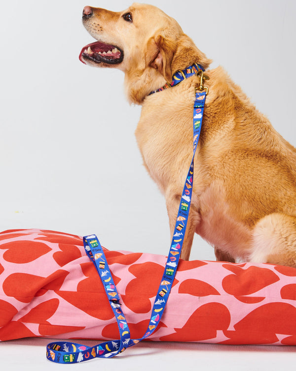 Aussie Icons Dog Collar